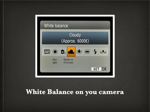 How to White Balance.004.jpg How to White Balance.004.jpg